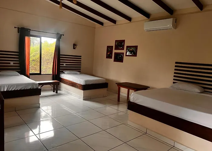 Tarcoles Birding Lodge