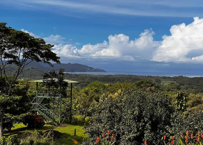Tarcoles Birding Lodge