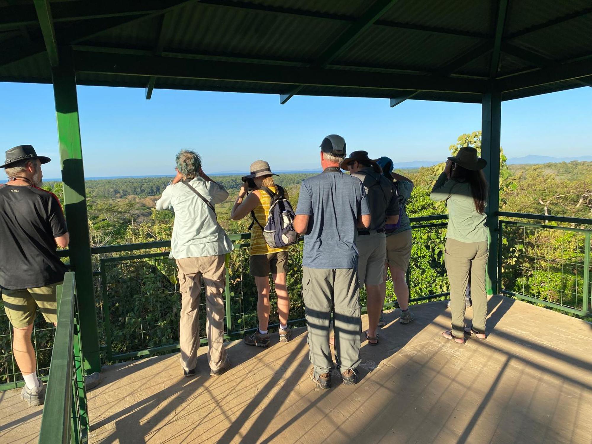 Birding Chalet Tarcoles
