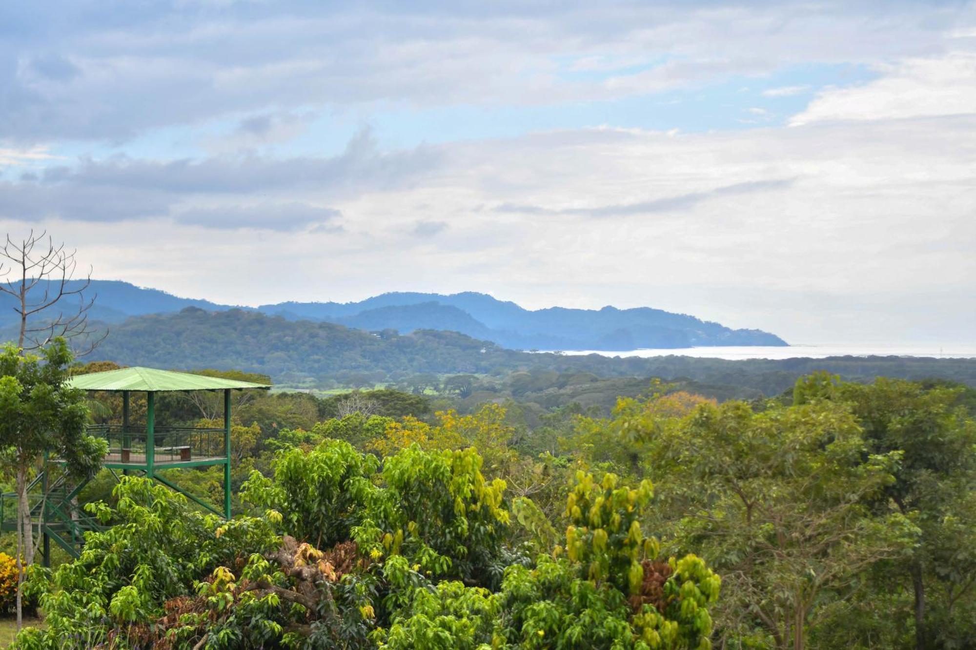 Birding Chalet Tarcoles